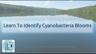 Learn to Identify Cyanobacteria Blooms [upl. by Karalee555]