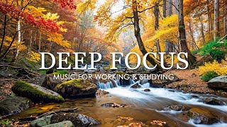 Work Music for Concentration  12 Hours of Ambient Study Music to Concentrate 8 [upl. by Deirdre466]