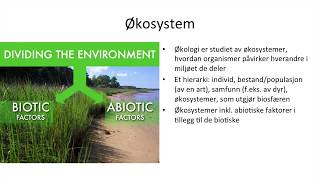 Naturfag  Økologi økosystemer og bærekraftig utvikling [upl. by Lozar]