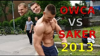 Warszawski koks Owca vs Saker 2013 Pozowanie i dieta Owcy [upl. by Alesig]