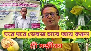 Medicinal Plants Cultivation For Huge IncomeSree Sanjiban [upl. by Arhoz]