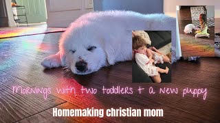 SURPRISE day in my life with a new puppy  my mornings as a homemaking christian mom 🫶 [upl. by Uhp]