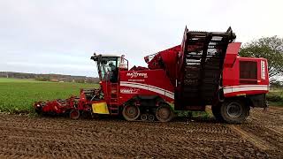 Grimme Maxtron 620 beim Zuckerrüben roden [upl. by Swann639]