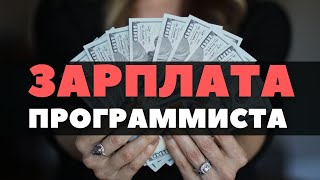 Зарплата программиста Сколько зарабатывает программист [upl. by Abby]