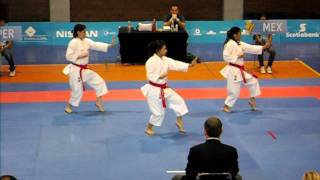 WKF KATA MEXICO PANAMERICANO 2011 KARATE GUADALAJARA [upl. by Idnyc777]