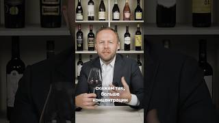 Дегустируем итальянское вино Othonis Negroamaro Salento IGT wine sommelier [upl. by Anolla]