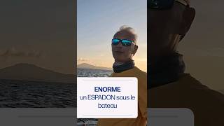 une rencontre de folie avec le maître des lieux  un ESPADON VOILIER tourne autour du bateau 🐟🐟🐟 [upl. by Eelyr]