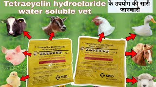 tetracycline hydrochloride water soluble vet uses in hindi veterinarymedicinereviewhindi [upl. by Neeham47]