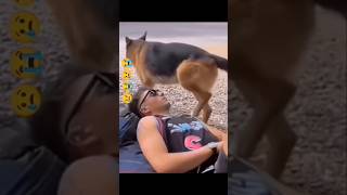 Amazing funny video🤣🤣trending youtubeshortsviralvideo funnyfunnyvideo facebook funny funny [upl. by Lezned493]