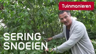 Sering en andere bladverliezende heesters snoeien Hoe doe je dat  Tuinmanieren [upl. by Atined]