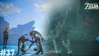 Breath of the Wild  EX Champion Miphas Song DLC 2 Illusory Realm Waterblight Ganon Complete [upl. by Laohcin]