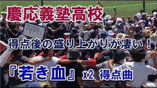 慶応義塾高校の応援『若き血』得点後の盛り上がりが凄い！ 2023816 甲子園球場 Vs広陵戦 [upl. by Aisined223]