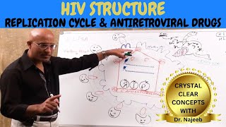 HIV AIDS  Sign Symptoms Transmission amp Treatment  Dr Najeeb🩺 [upl. by Olifoet]