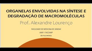 Organelas envolvidas na síntese e na degradação de macromoléculas [upl. by Eelanna]