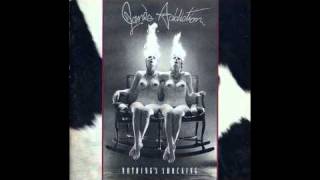 Janes Addiction Ted Just Admit It [upl. by Ailemrac]