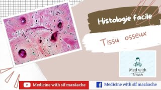 5 Le Tissu osseux  Histologie 1ère année MED [upl. by Chem]