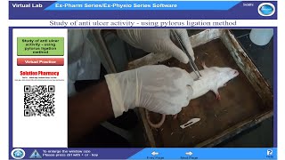 Antiulcer Activity By Pylorus Ligation Method in Rat  ExPharm Software  हिंदी में समझिये [upl. by Maia]