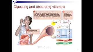 Biochem Second  drEman  water soluble Vitamins B1 B2 B3 B5 الجزء الأول [upl. by Adnyleb]