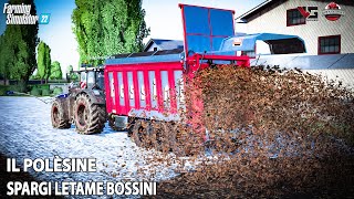 IL POLESINE COMPRIAMO LO SPARGI LETAME BOSSINI  FS22 ALEXFARMER [upl. by Bergeron342]