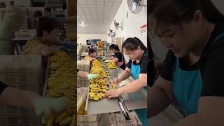 Soap packing process in soap factory [upl. by Anitsyrc774]