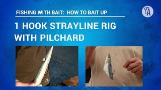 BAIT FISHING How to put PILCHARD bait on one hook STRAYLINE rig 3 ways [upl. by Glenden830]