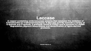 Medical vocabulary What does Laccase mean [upl. by Yi]