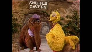 Sesame Street 1494 Street Scenes Big Bird stays overnight in Mr Snuffleupagus cave [upl. by Adnoloy]