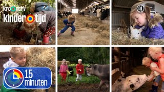 Koeien lammetjes varkens kippen kalfjes en paarden  15 minuten  Kindertijd KRONCRV [upl. by Skier359]