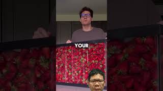 He broke the record of eating strawberries funny comedy memes viralvideoPossibleGuy [upl. by Willamina]