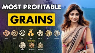 Most Profitable Grain Farming Businesses  Different types of Grains  Agriculture Business Ideas [upl. by Locke976]