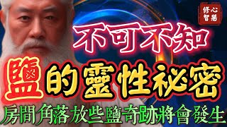 宇宙要我告訴你！極少人知道的靈性祕密！在房間角落放一些鹽，神奇的事就要發生！修心智慧幸福因果因緣開悟鹽覺醒覺悟解脫靈性心靈顯化吸引力冥想豐盛奇蹟淨化正能量禪 [upl. by Ellecram]