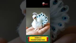 Animal before and after growing up trending animals funnyanimals animaltransformation [upl. by Rogerson534]