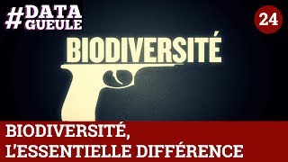 Biodiversité lessentielle différence  DATAGUEULE 24 [upl. by Airtap]