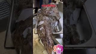 biggest monkfish viralvideo [upl. by Binette]