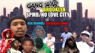 Brooklyn Gang War  SPMBNLC GDsFolkBloods vs GSC CripsBloods100 Cloccs  Bush vs Floss [upl. by Regazzi]