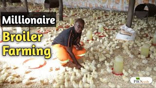 Broiler Chicken Farming Made Easy Cheap and Profitable [upl. by Klug]