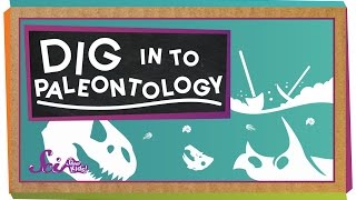 Dig In To Paleontology [upl. by Suoinuj]