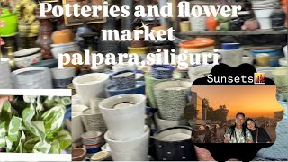 vlog The famous potteries and flower market at siliguri  Enjoying sunsets and programme🤭😅 [upl. by Hunt]