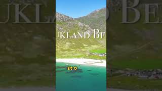 Lofotens Hidden Gem Vik Beach Vlog [upl. by Yl]