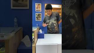 whammsucks fingerboard indonesia fyp shorts ytshorts fingerboard funny tricks fypシ [upl. by Fabria]