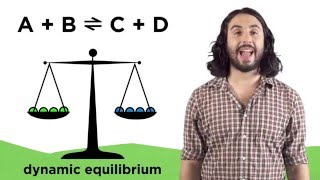 Chemical Equilibria and Reaction Quotients [upl. by Kcirrez]