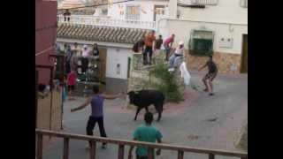 VALENTIN fiestas 20120626 Vaquillas Cogida a un mozo [upl. by Cataldo]