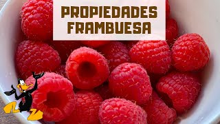 10 Propiedades de las Frambuesas ¡BENEFICIOS [upl. by Sandler]