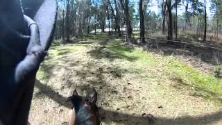 Helmet Cam  2014 Red Hills Intl HT  Elisa Wallace amp Corteo [upl. by Grissel]