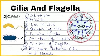 Cilia And flagella  Structure and function of Cilia And flagella Full Details for msc [upl. by Yerahcaz]