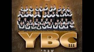 Yeshiva Boys Choir Yiru [upl. by Zonda]