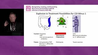 Clinical Approaches to the Effective Treatment of C diff as an Infectious Disease [upl. by Atworth]