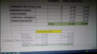 costo de producción y rentabilidad del pollo de engorde [upl. by Devaney]