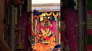 Sankaran Koil Sankaranayanar Gomathi Amman Thirukalyanam 🙏 amman youtubeshorts [upl. by Ayyn202]