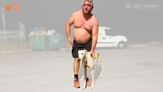 Starving Dog Eats Garbage Because Half Naked Fat Owner Wont Feed Her  What Did Viktor Larkhill Do [upl. by Adnolaj]